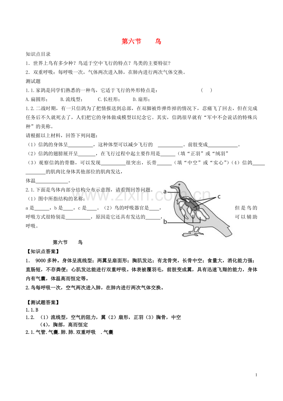 八年级生物上册----鸟导学案1-新版新人教版1.doc_第1页