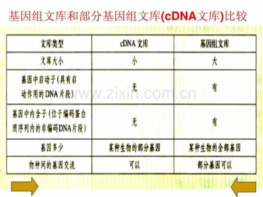 专题1基因工程12基因工程的基本操作程序.pptx_第3页