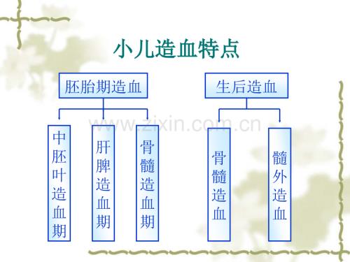 造血系统疾病患儿的护理.pptx