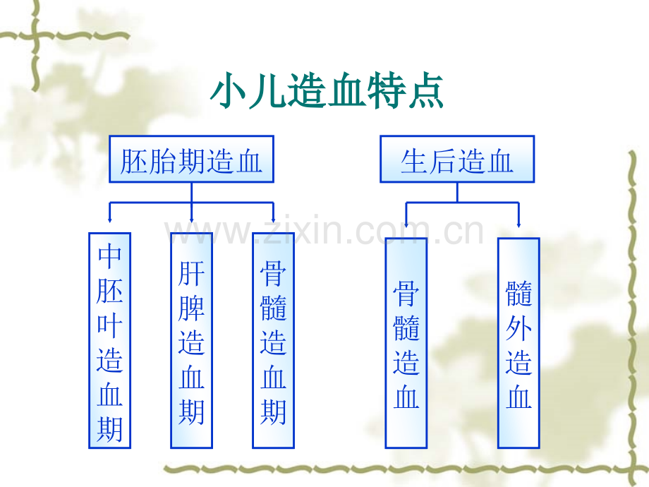 造血系统疾病患儿的护理.pptx_第1页