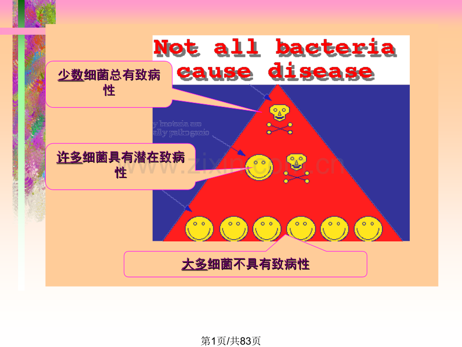 细菌感染.pptx_第1页