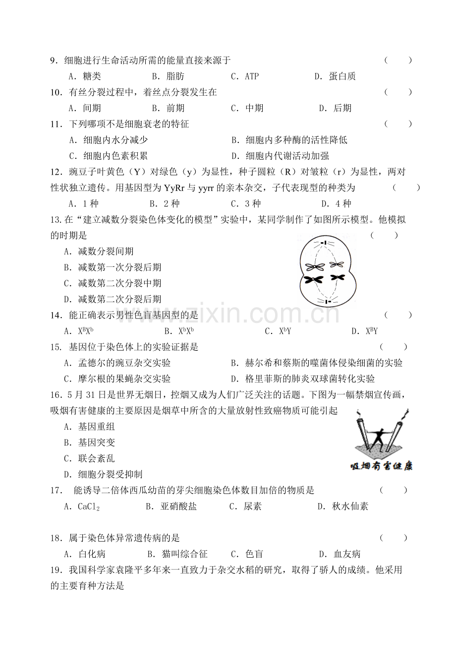 湖南省普通高中学业水平考试生物试卷及答案.doc_第2页