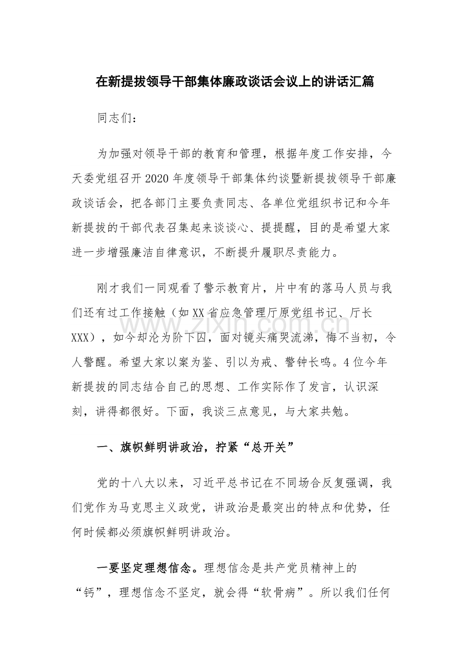 在新提拔领导干部集体廉政谈话会议上的讲话汇篇.docx_第1页