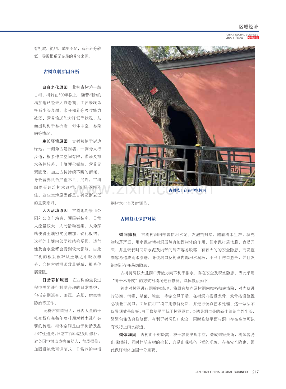 浅谈古树名木复壮保护措施——以北京市景山西街古树为例.pdf_第2页