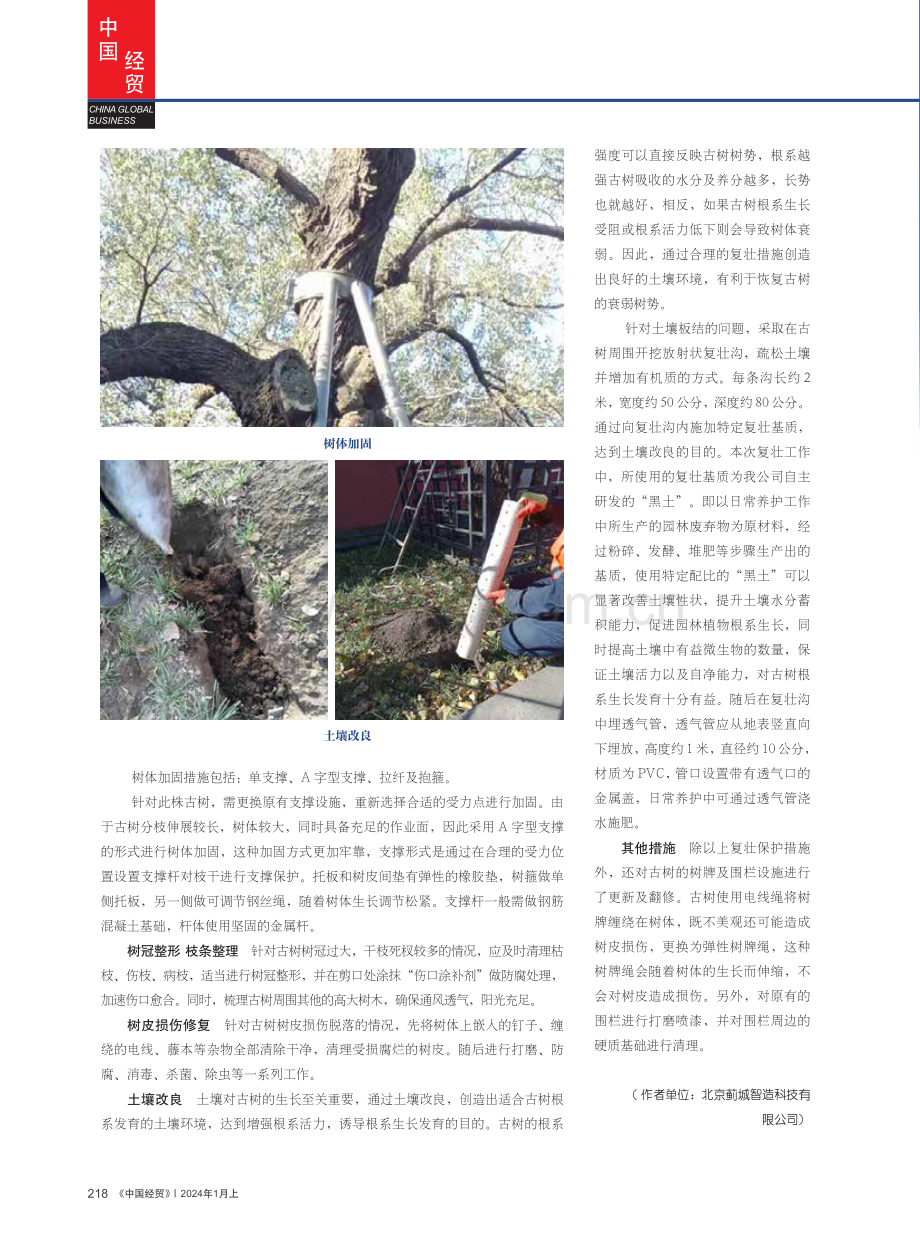 浅谈古树名木复壮保护措施——以北京市景山西街古树为例.pdf_第3页