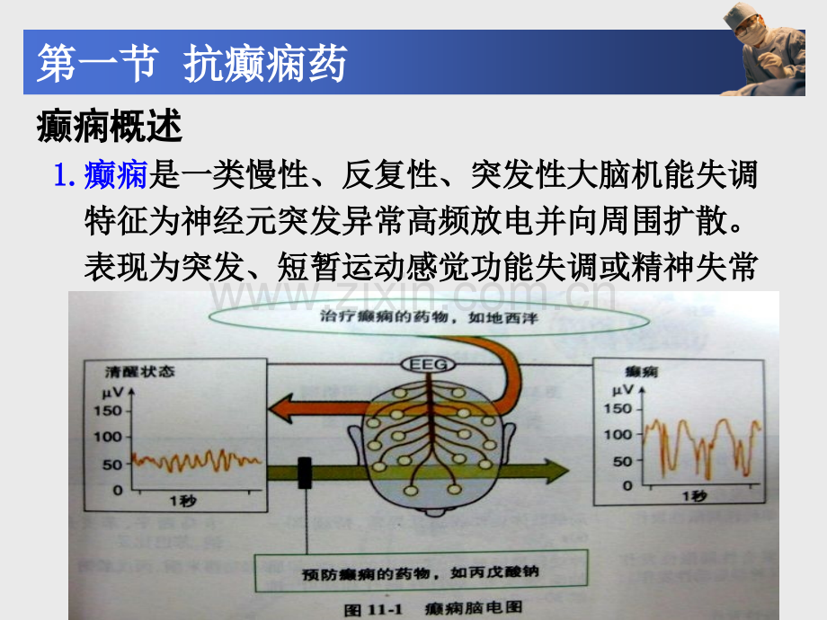 《药理学》课件第12章--抗癫痫药和抗惊厥药.pptx_第2页