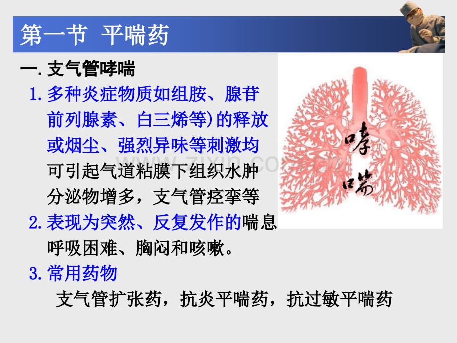 《药理学》课件第26章--作用于呼吸系统的药物.pptx_第3页