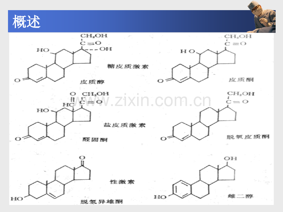 中职《药理学》课件第30章--肾上腺皮质激素类药物.pptx_第3页