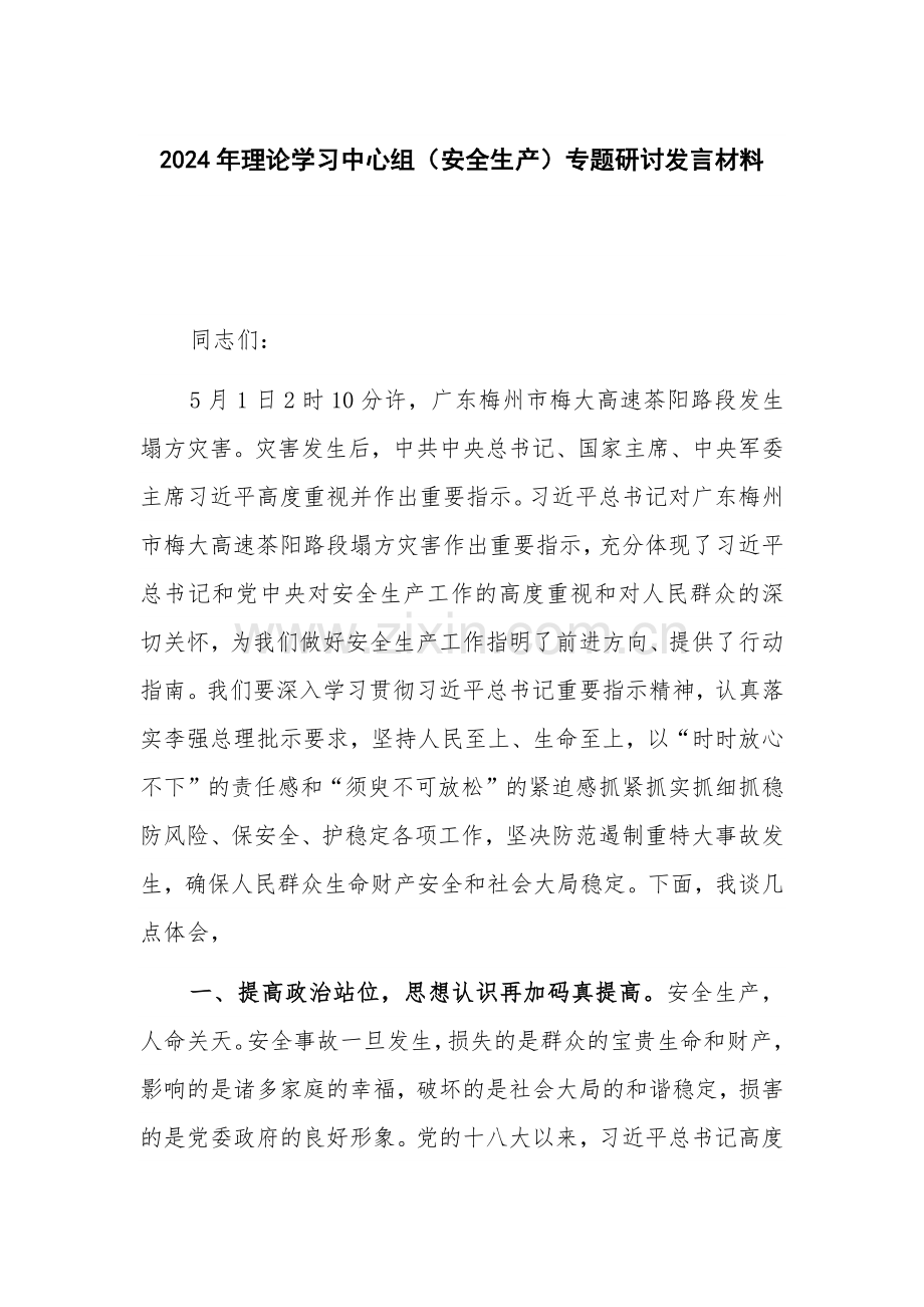 2024年理论学习中心组（安全生产）专题研讨发言材料.docx_第1页