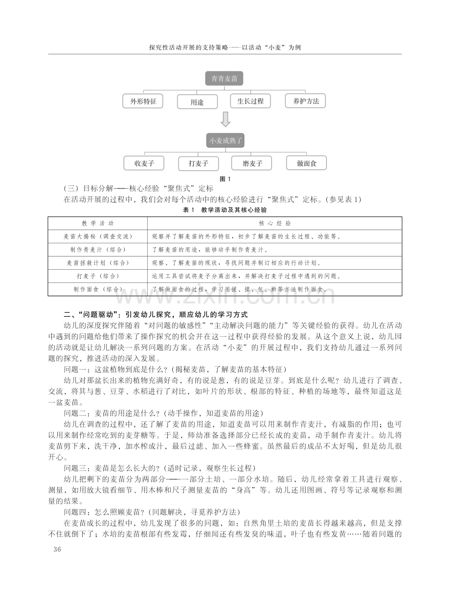 探究性活动开展的支持策略——以活动“小麦”为例.pdf_第2页