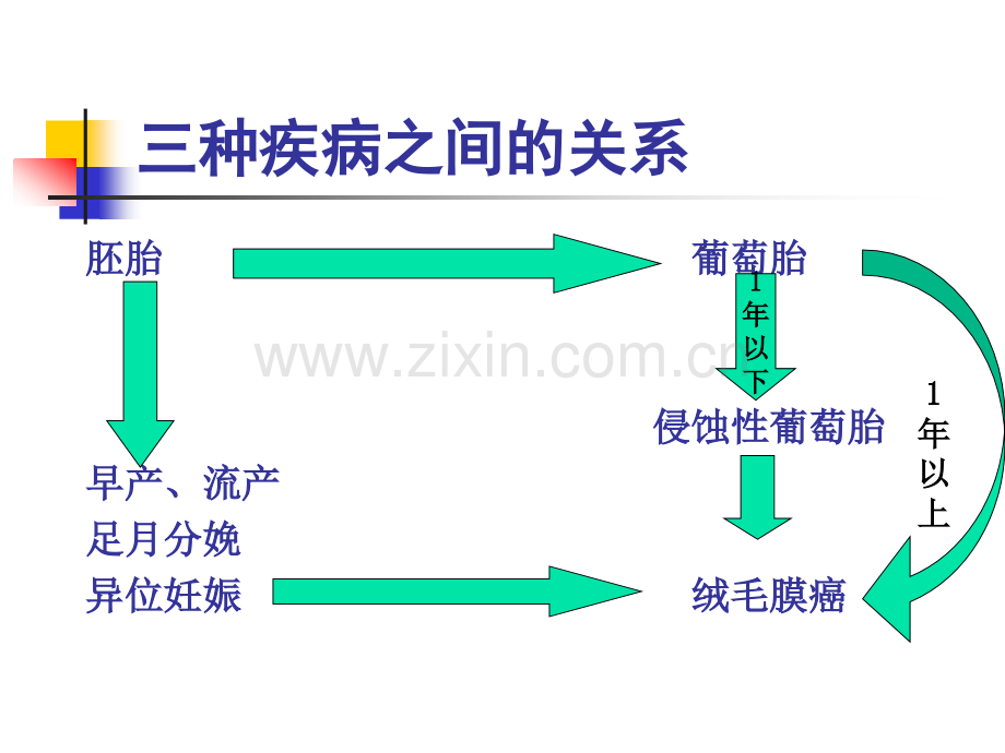 《妇产科护理学》PPT教程课件第16章-妊娠滋养细胞疾病患者的护理.pptx_第3页