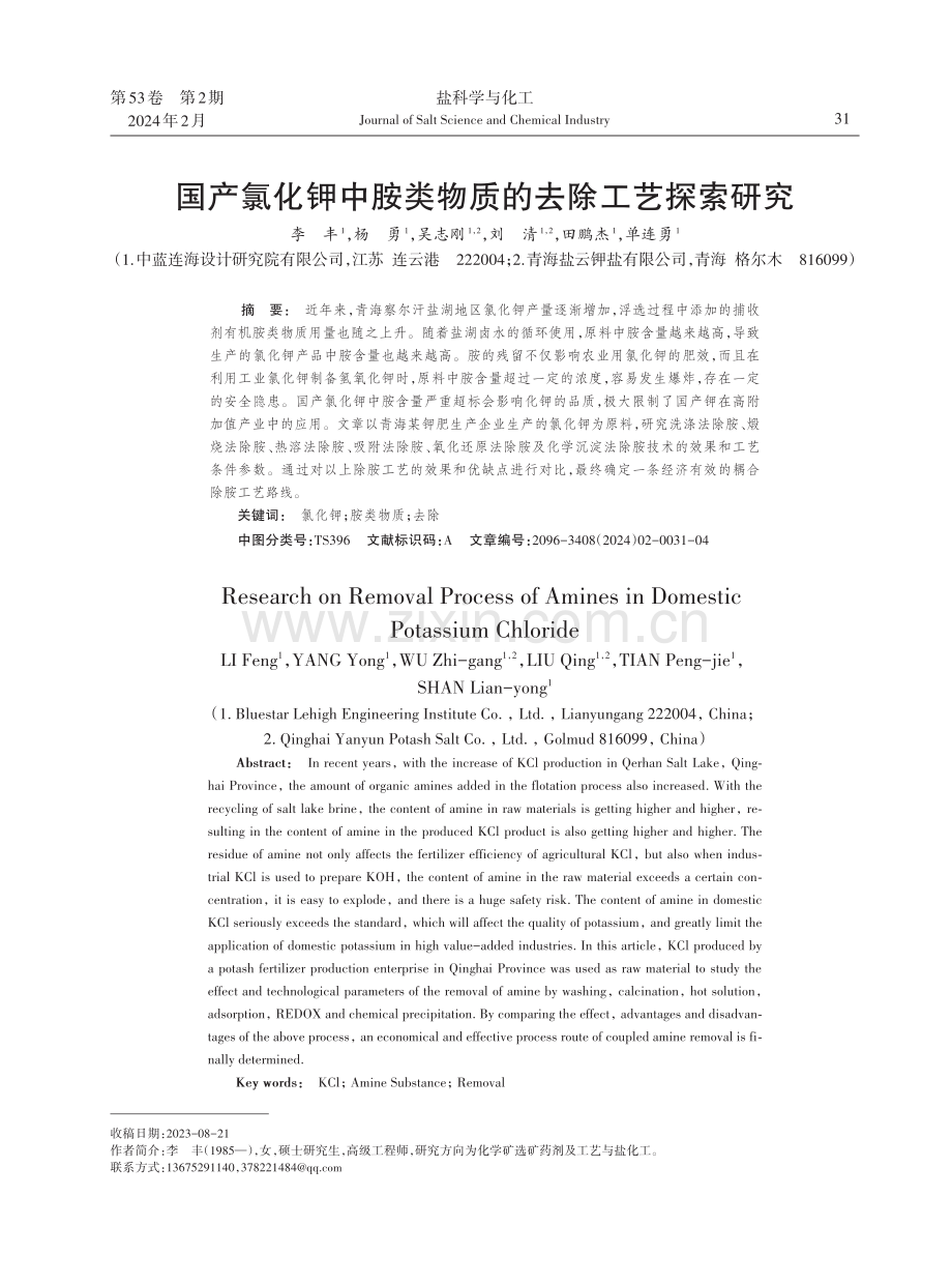 国产氯化钾中胺类物质的去除工艺探索研究.pdf_第1页