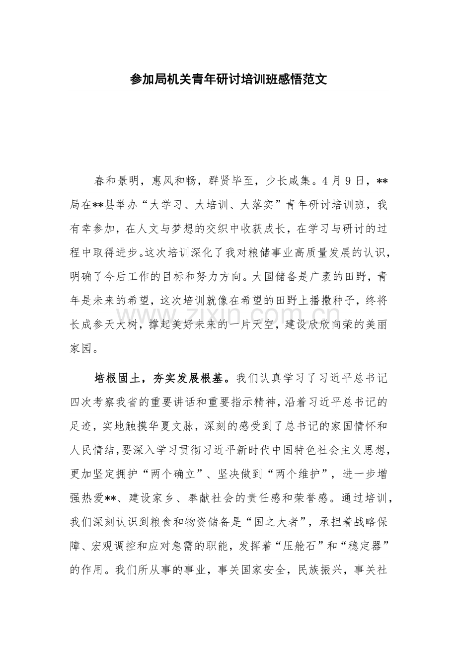 参加局机关青年研讨培训班感悟范文.docx_第1页