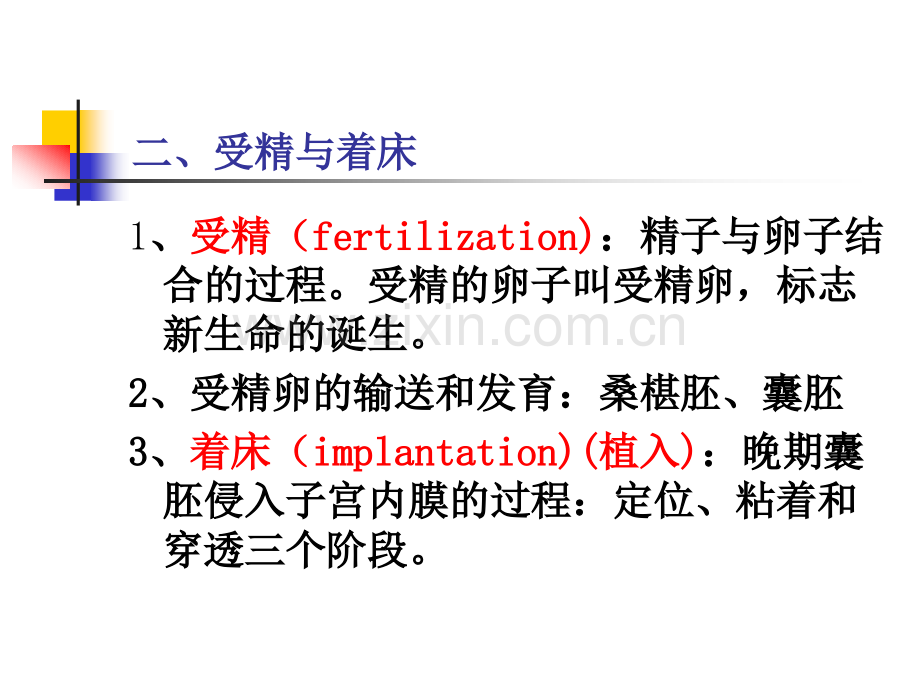 《妇产科护理学》PPT教程课件-第3章-妊娠期妇女的护理.pptx_第3页