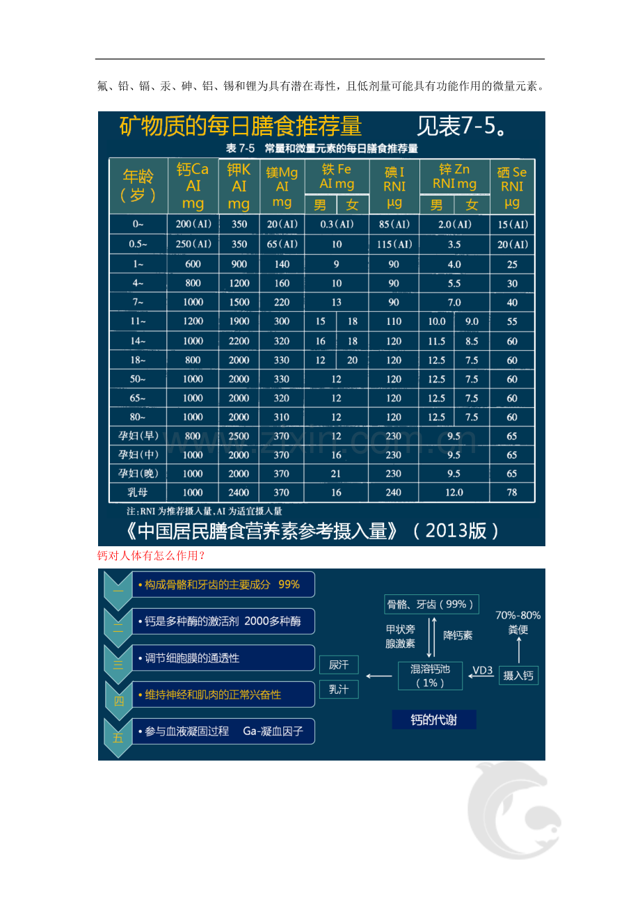 第七章-营养学基础(五).doc_第2页