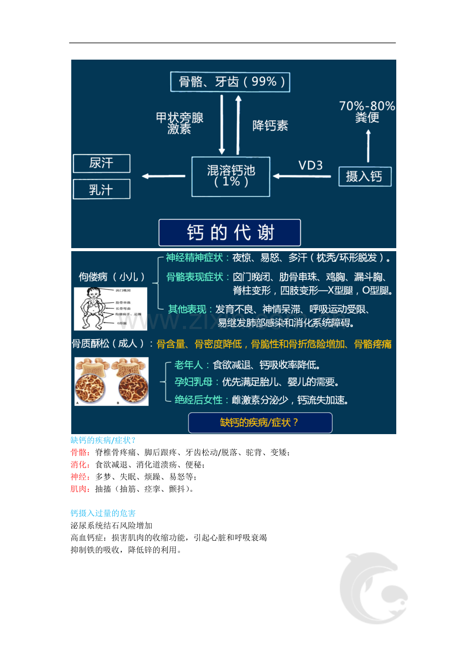 第七章-营养学基础(五).doc_第3页