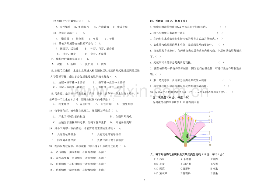 森林植物学自测卷及答案.doc_第3页