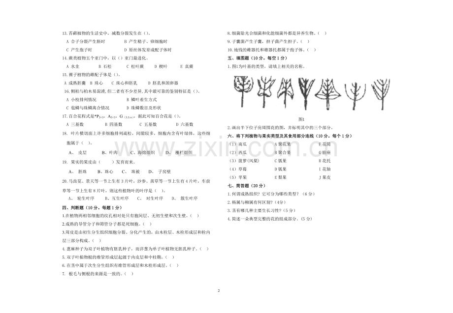 森林植物学试卷及答案.doc_第2页