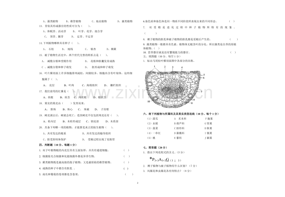 森林植物学试题及答案.doc_第2页