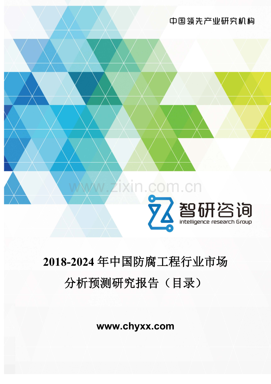 2018-2024年中国防腐工程行业市场分析预测研究报告(目录).doc_第1页