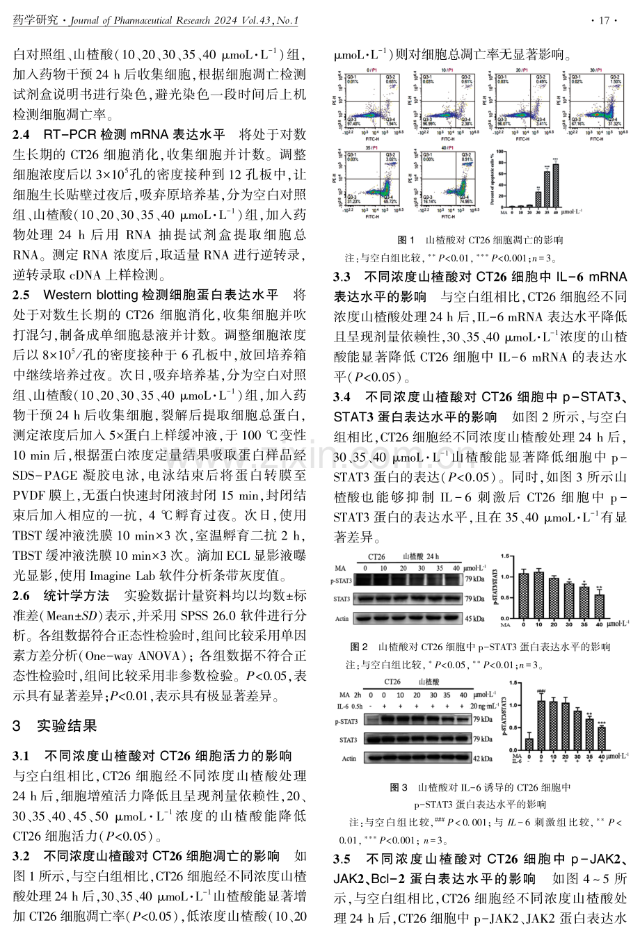 基于IL-6_STAT3信号通路探讨山楂酸对小鼠结肠癌CT26细胞增殖、凋亡的影响.pdf_第3页