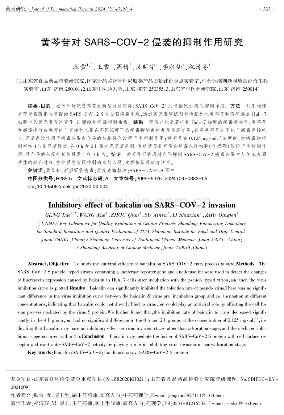 黄芩苷对SARS-COV-2侵袭的抑制作用研究.pdf_第1页