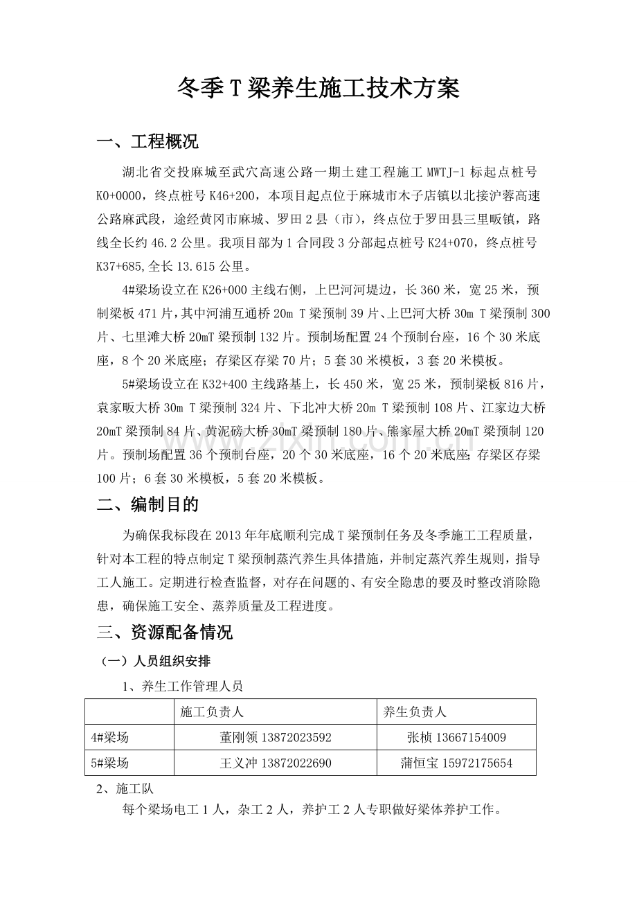 冬季T梁蒸汽养生施工技术方案.doc_第1页