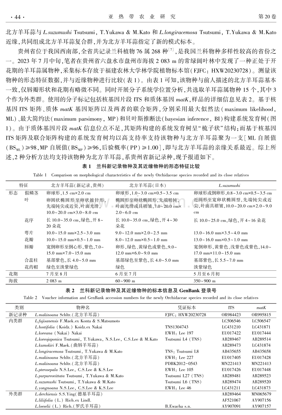 基于形态和分子证据记述贵州省兰科一新记录种.pdf_第2页