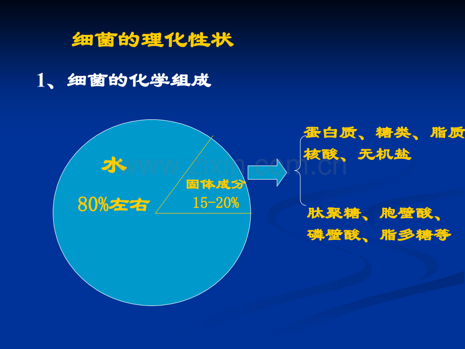 《医学免疫学与医学微生物学》课件第十章-细菌的生理.ppt_第3页