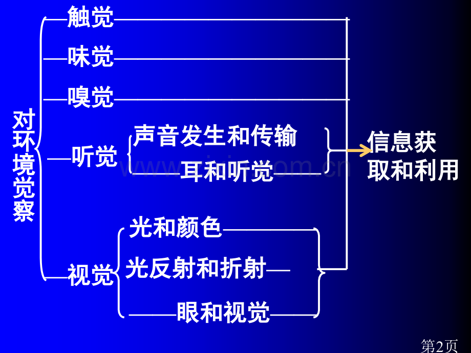 《对环境的察觉》复习浙教版省名师优质课赛课获奖课件市赛课一等奖课件.ppt_第2页