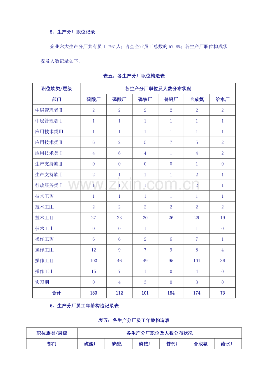 集团公司至年人力资源规划方案可借鉴.doc_第3页