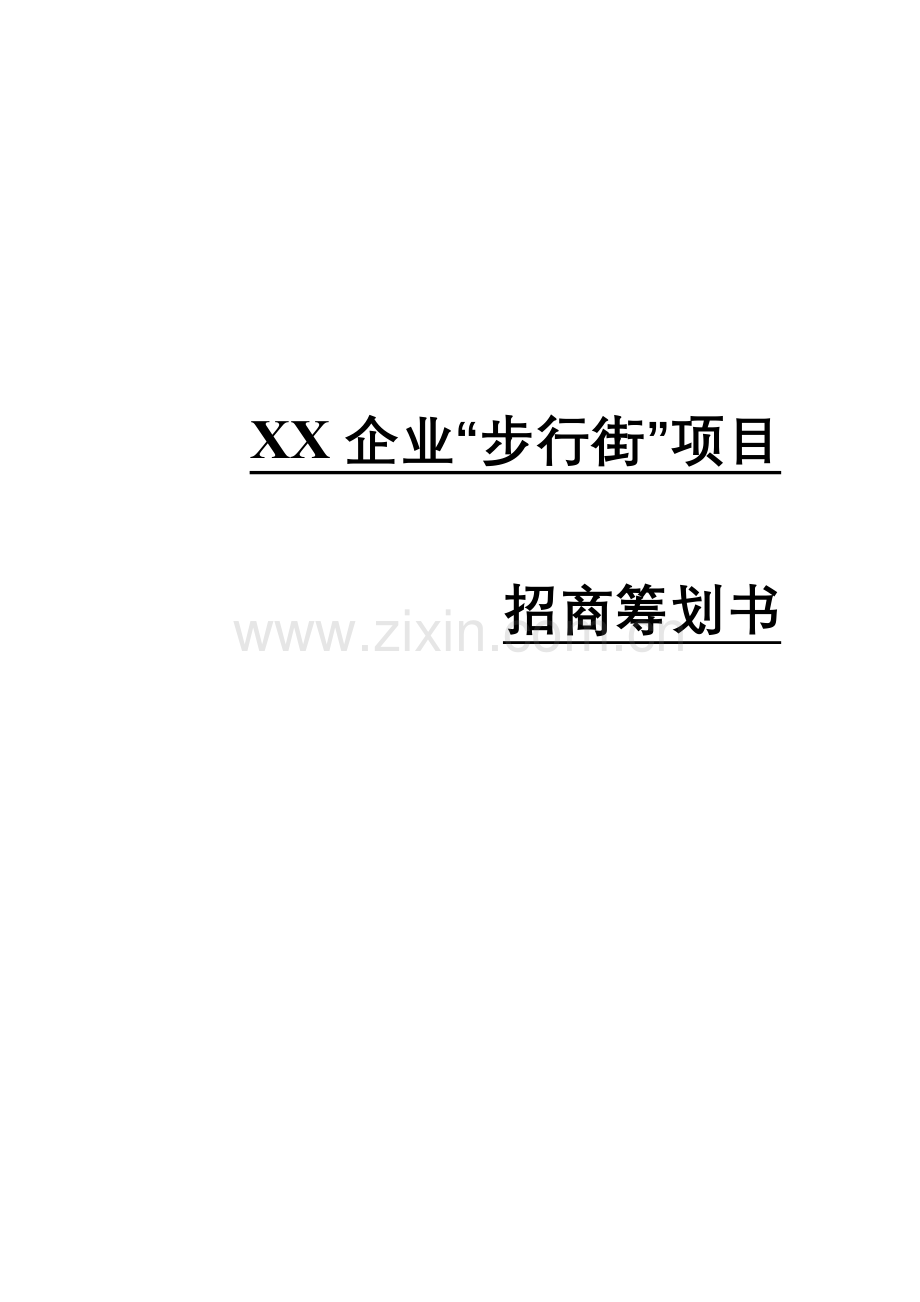 项目招商策划书.doc_第1页