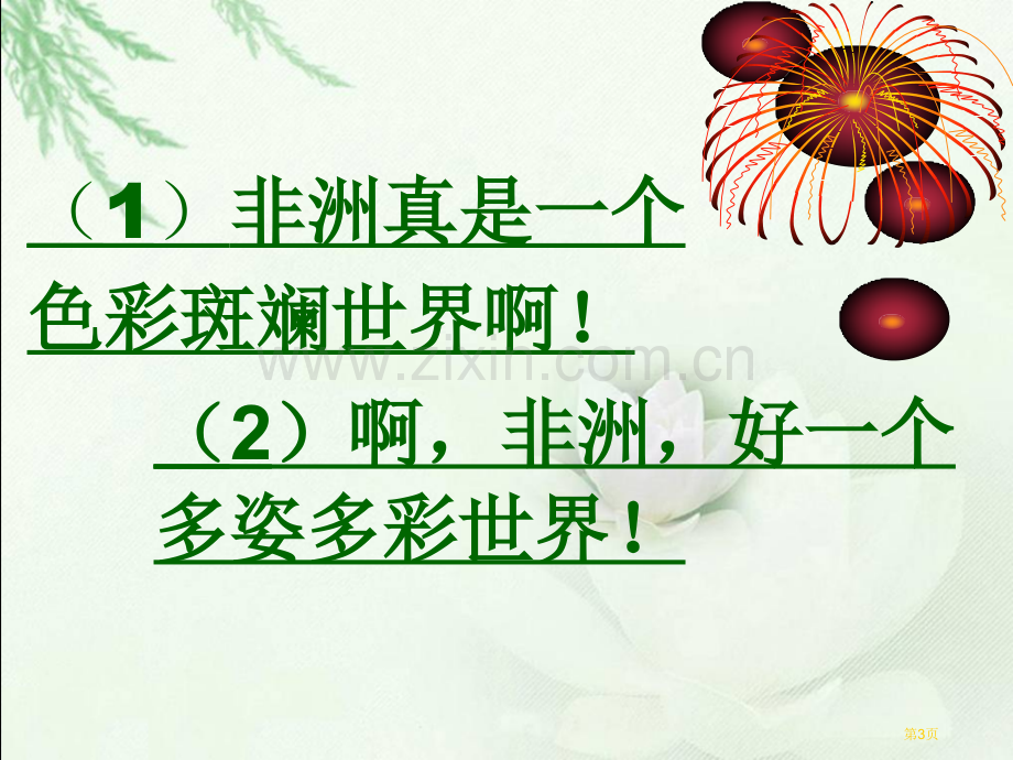 彩色的非洲3人教新课标五年级语文下册市名师优质课比赛一等奖市公开课获奖课件.pptx_第3页