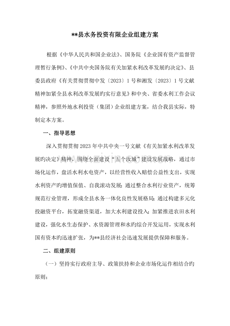 水务投资有限公司组建方案.doc_第1页