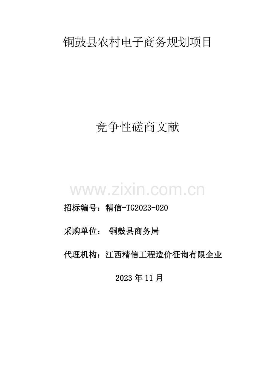 铜鼓县农村电子商务规划项目.doc_第1页