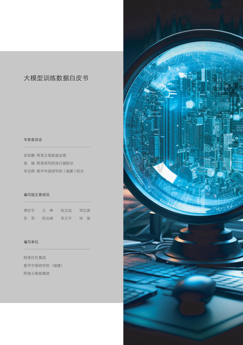 2024大模型训练数据白皮书.pdf_第2页