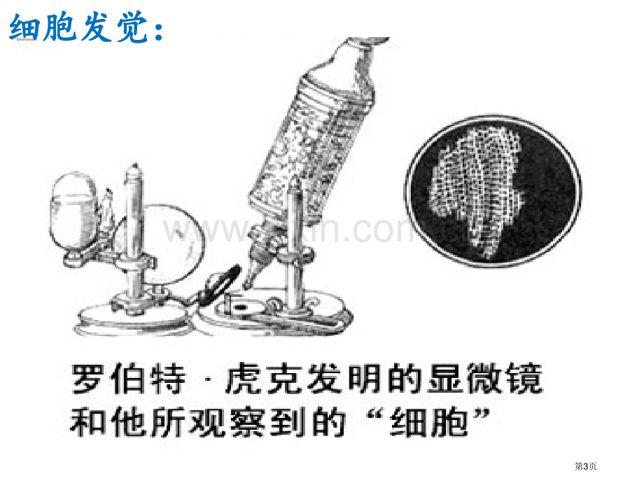 七年级生物上册1.2.1细胞的结构和功能市公开课一等奖省优质课赛课一等奖课件.pptx_第3页