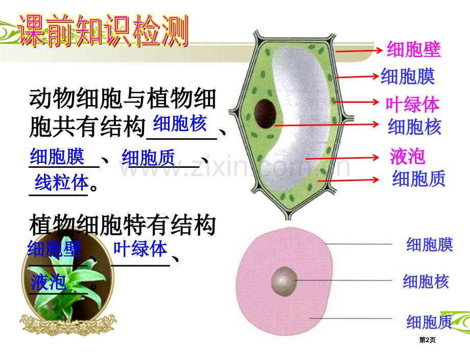 七年级生物上册2.1.4细胞的生活市公开课一等奖省优质课赛课一等奖课件.pptx_第2页