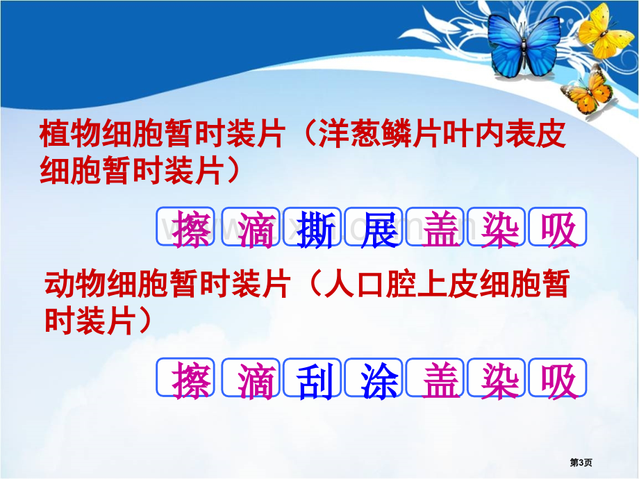 七年级生物上册2.1.4细胞的生活市公开课一等奖省优质课赛课一等奖课件.pptx_第3页