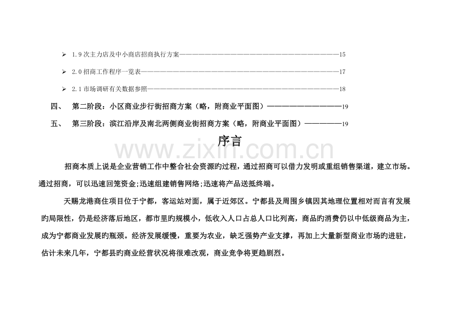 赣州宁都天赐龙港项目商业街整体招商方案.doc_第3页