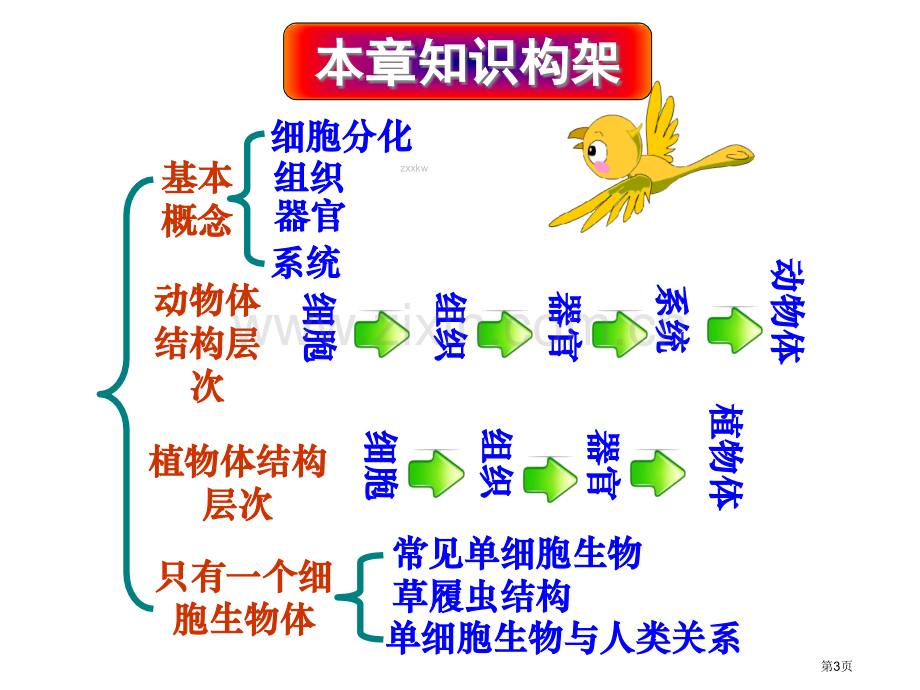 七年级上册第二单元第二章细胞怎样构成生物体市公开课一等奖省优质课赛课一等奖课件.pptx_第3页