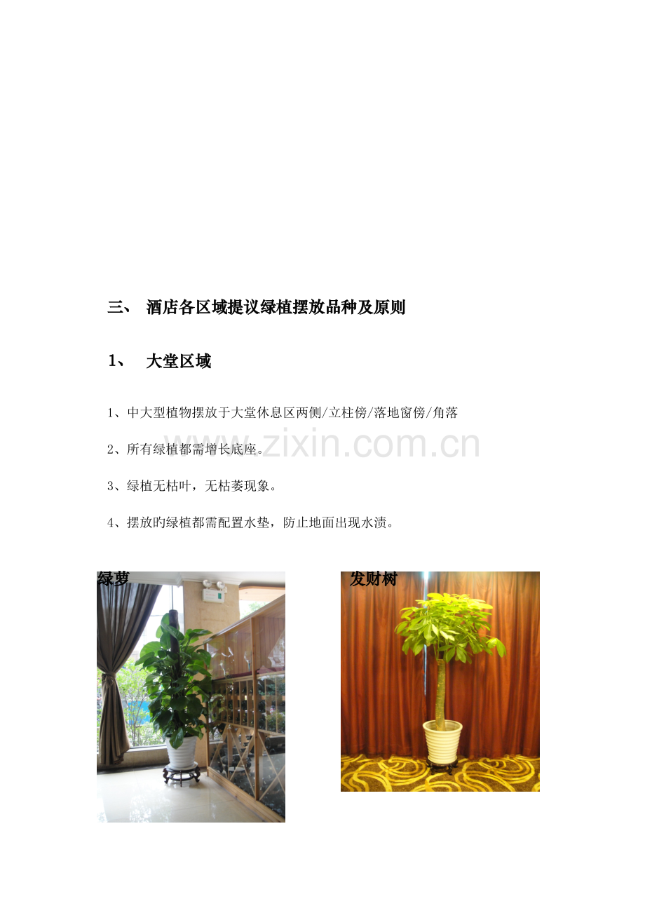 酒店绿植租摆标准.doc_第3页