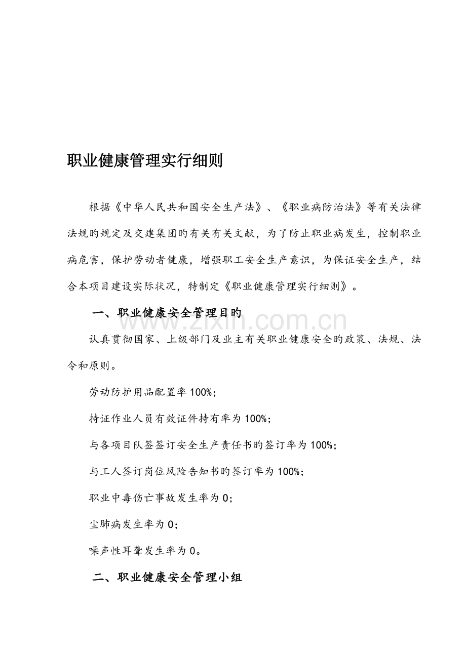 职业健康管理实施细则资料.doc_第1页