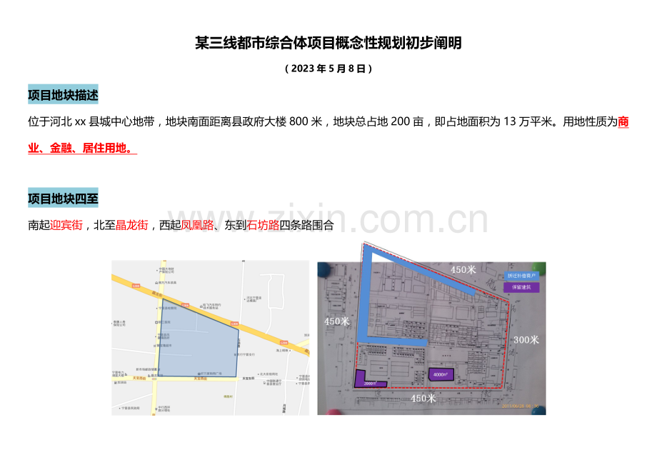 某三线城市综合体项目概念性规划初步说明.doc_第1页