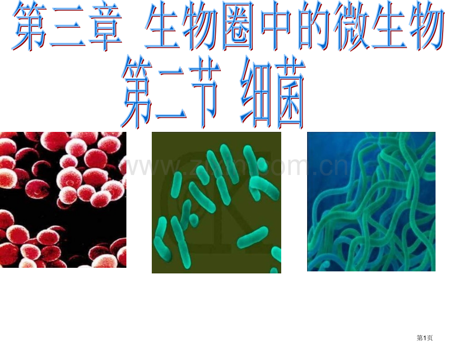 七上2.3.2细菌市公开课一等奖省优质课赛课一等奖课件.pptx_第1页