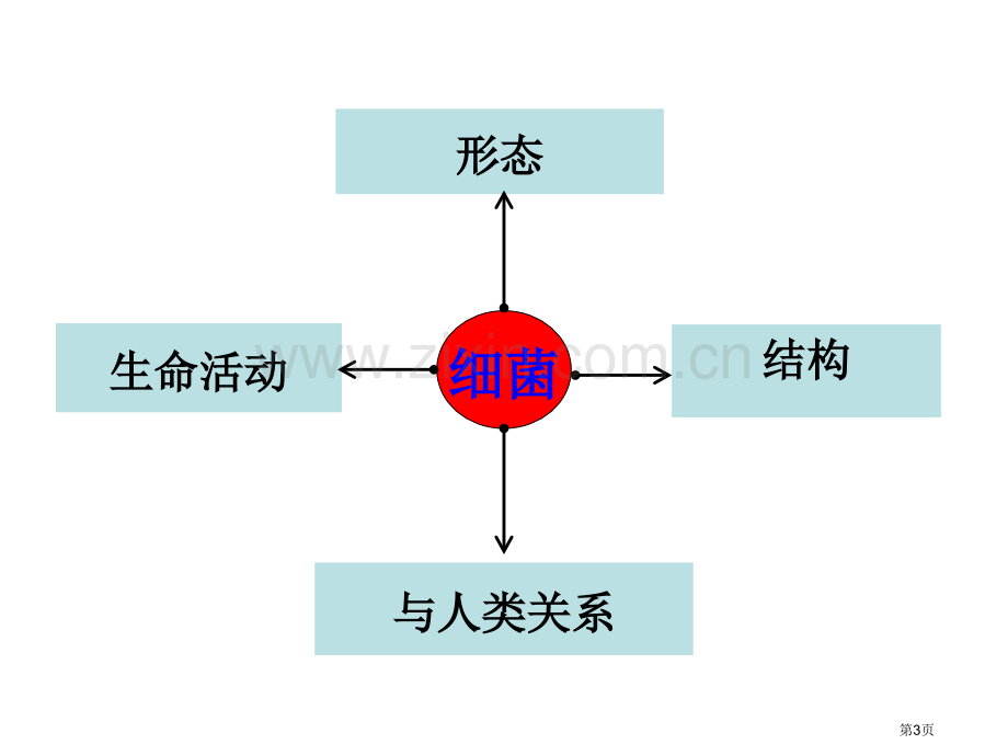 七上2.3.2细菌市公开课一等奖省优质课赛课一等奖课件.pptx_第3页