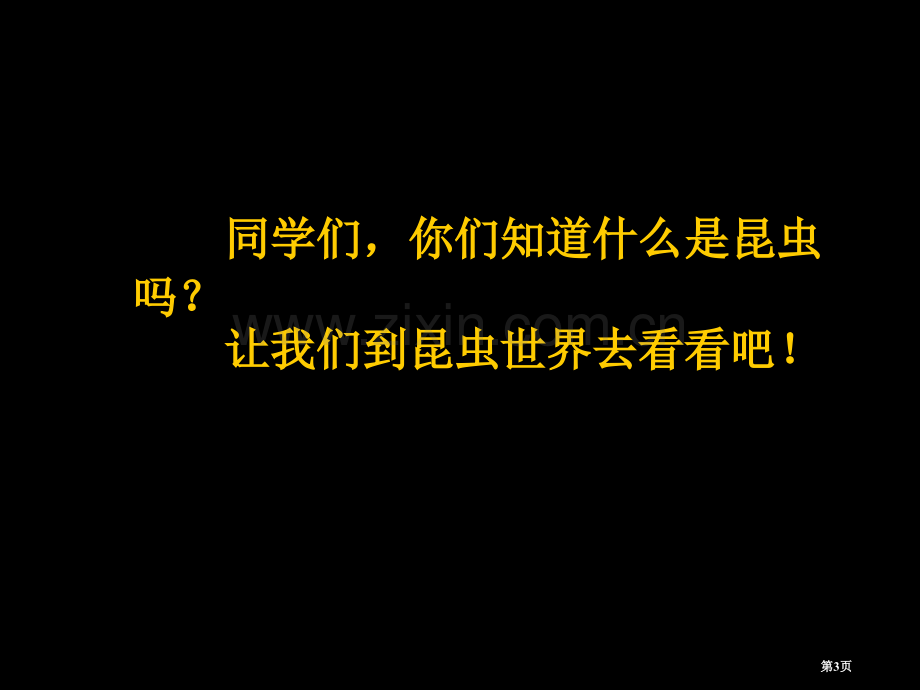 我和昆虫市名师优质课比赛一等奖市公开课获奖课件.pptx_第3页