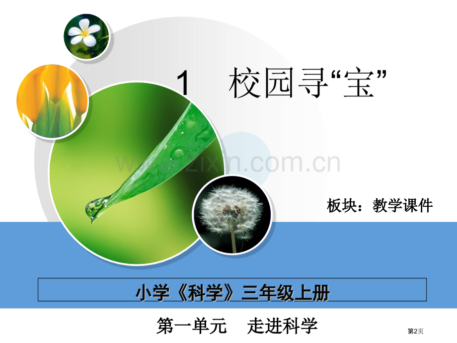 三年级上册科学1.1校园寻宝市公开课一等奖省优质课赛课一等奖课件.pptx_第2页