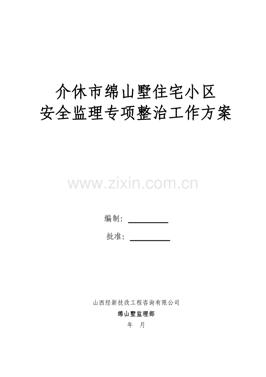 安全监理专项整治工作方案.doc_第1页