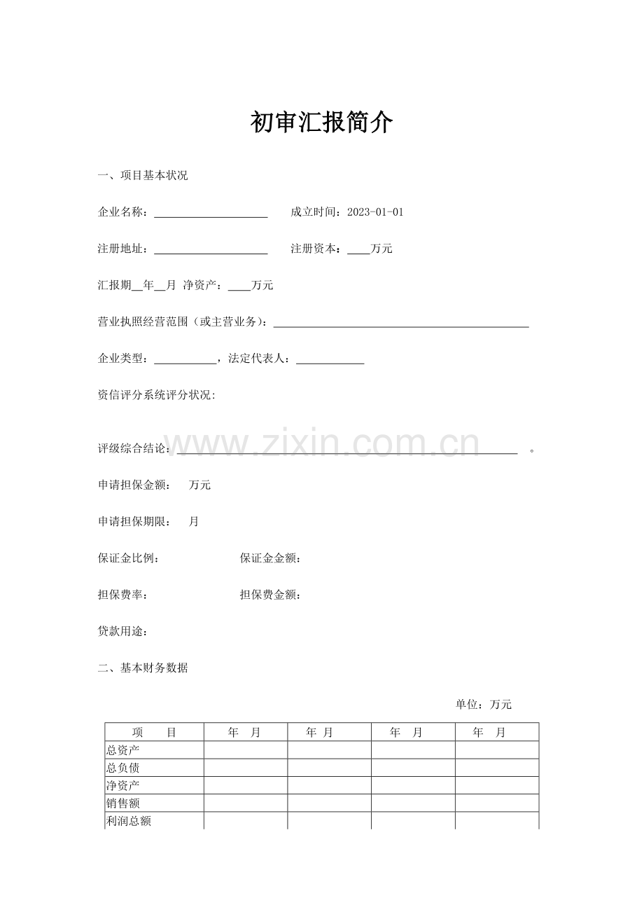 融资性担保公司项目初审报告.docx_第2页